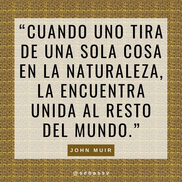 John Muir 3.jpg