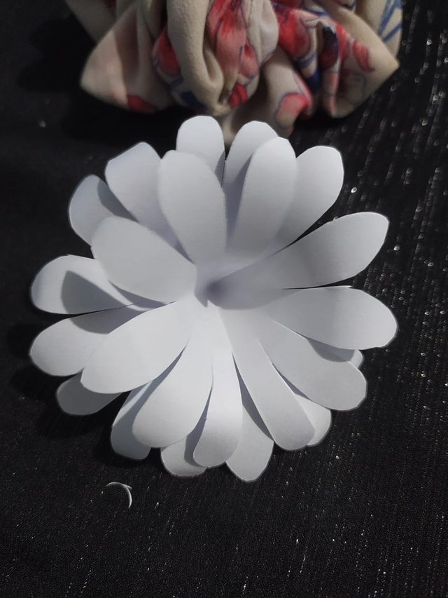 1000013030.jpg