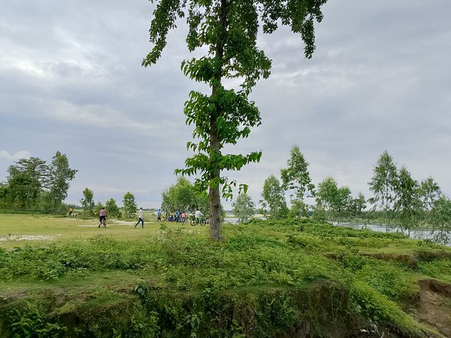 1000042363.jpg