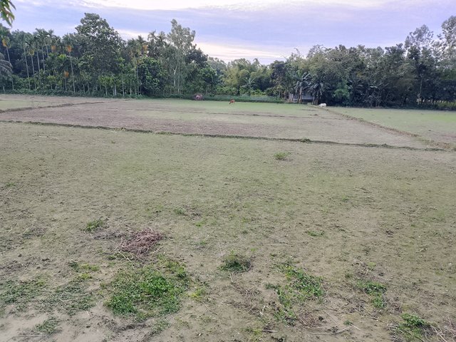 1000043273.jpg