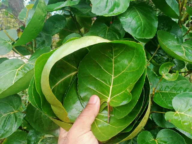 IMG20250914083642.jpg