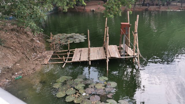 IMG_20240608_162245.jpg