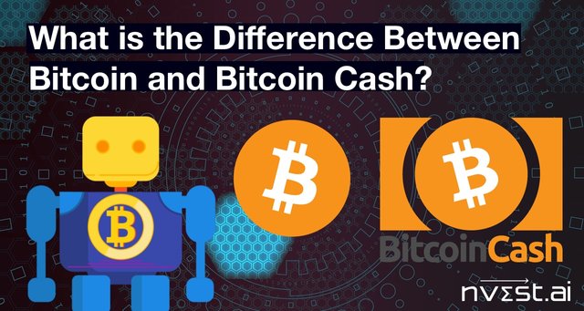 What is the Difference Between Bitcoin and Bitcoin Cash?