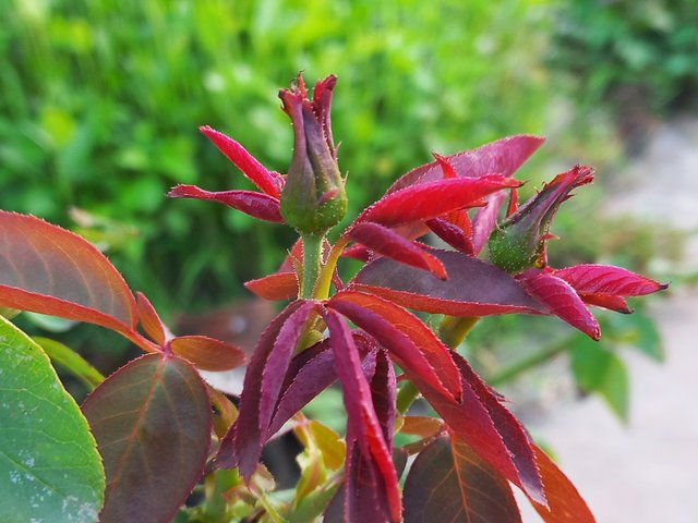 20230624_170909.jpg