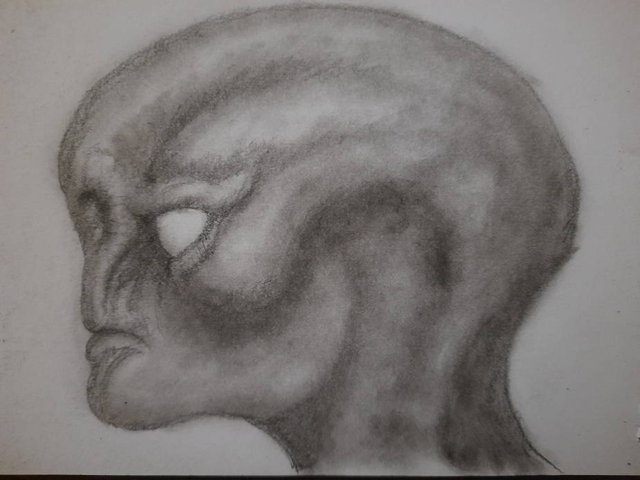20250807_110549.jpg