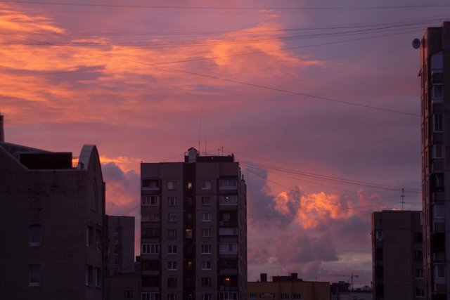 DSC05717.jpg