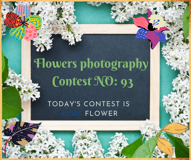 Flowers photography Contest (4).png