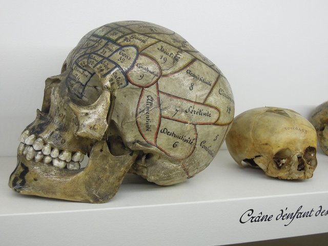 skull-1969911_1280.jpg