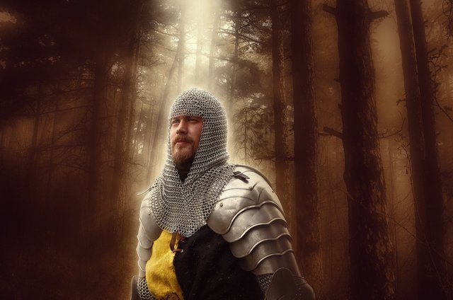 knight-2826704_1280.jpg