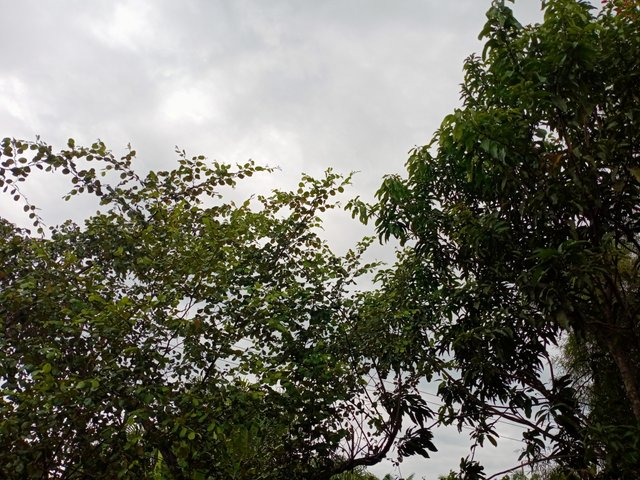 IMG20250908180646.jpg