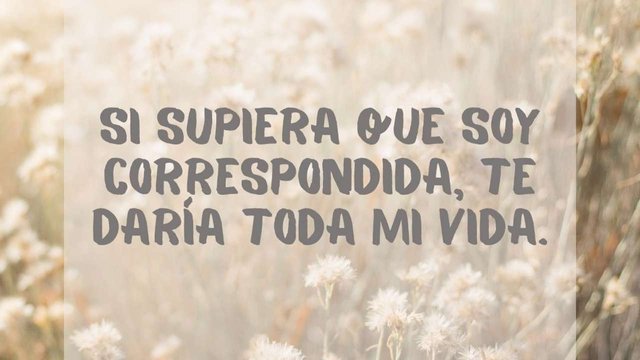 frases-amor_f8d0c258_240318153843_1280x720.jpg