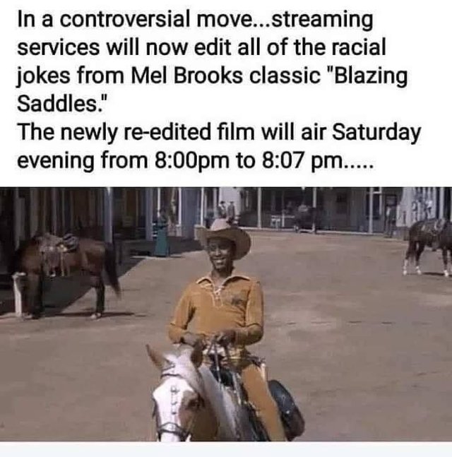 Blazing Saddles Meme.jpg