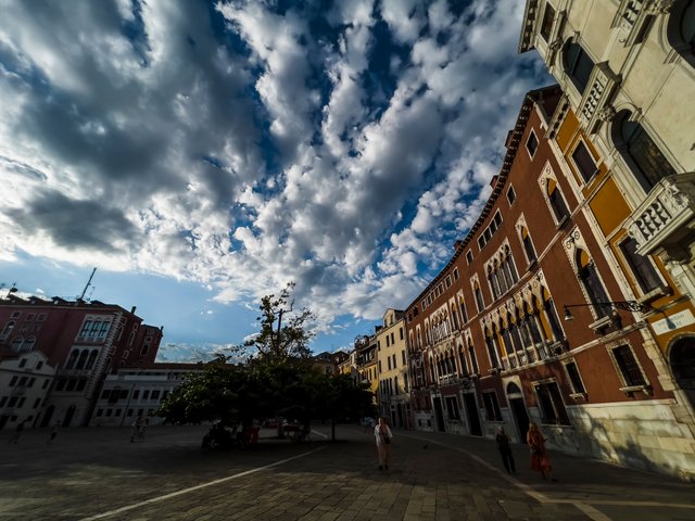 IMG_4453.jpg