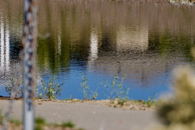 DSC01552.jpeg