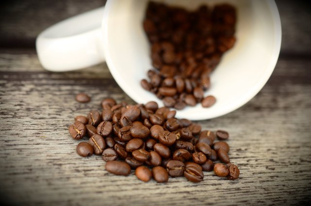 coffee-beans-1248354 - 복사본.jpg