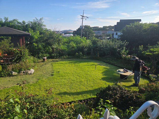 20250723_180359.jpg