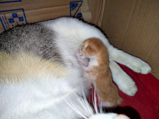IMG20250905151822.jpg
