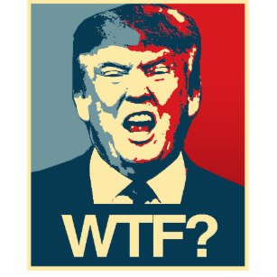 wtf_anti_trump_poster_anti_trump-r9c4a9580388e4549aa93cf3dee2d13c9_wvc_8byvr_307.jpg