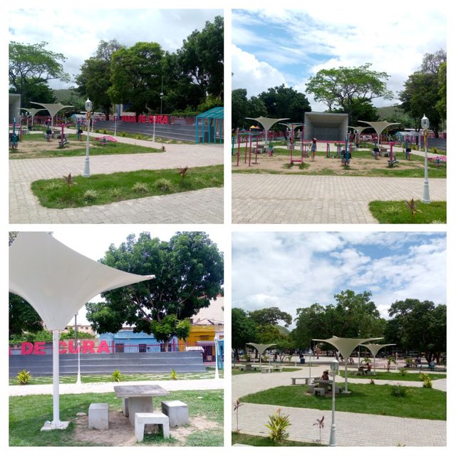 IMG_20250606_004119-COLLAGE.jpg