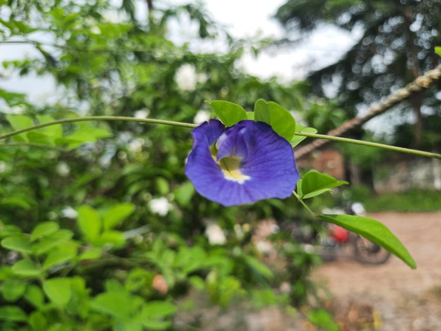 20250604_151357.jpg