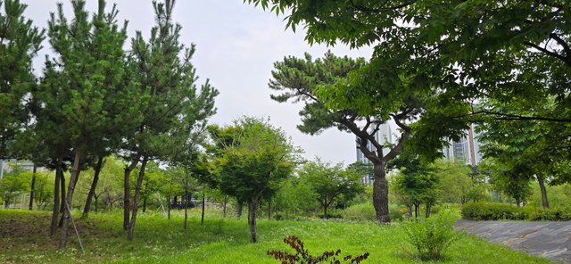 KakaoTalk_20250801_022604629_10.jpg