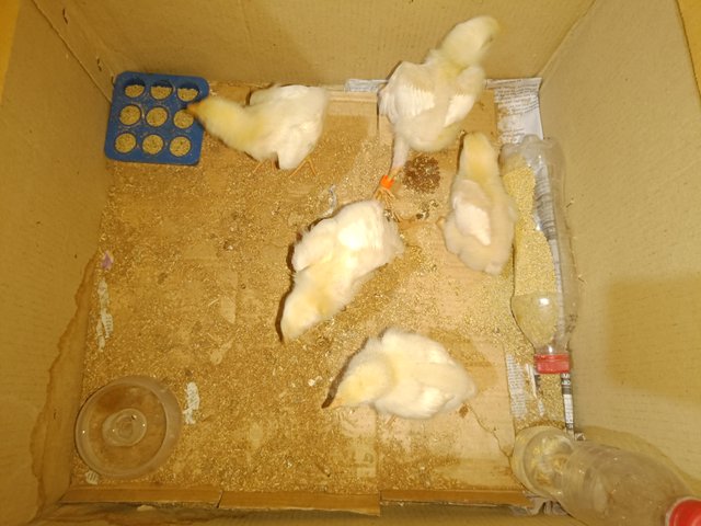 IMG20250508195132.jpg