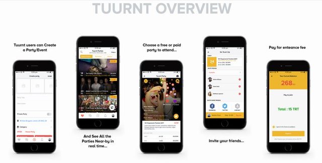 Tuurnt Overview.JPG