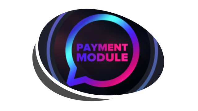 payment module.jpg