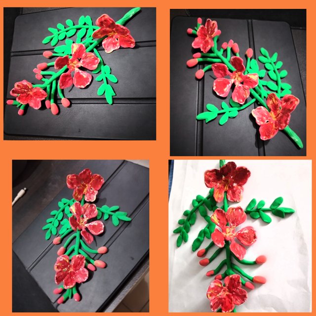 photocollage_202557201912836.jpg