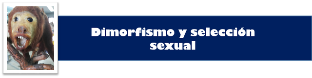dimorfismo y seleccion sexual.png