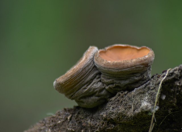_AHW1072.jpg