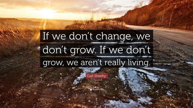 1091664-Gail-Sheehy-Quote-If-we-don-t-change-we-don-t-grow-If-we-don-t.jpg