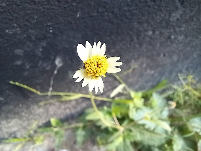20251015_082042.jpg