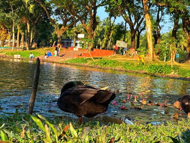 IMG-20251022-WA0033.