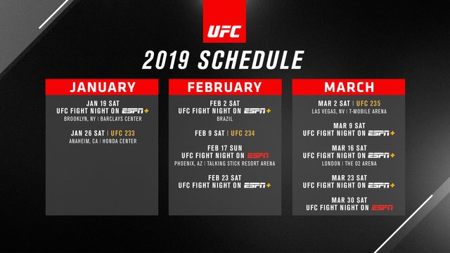 UFC_ESPN_Q1_Schedule graphic copy.jpg