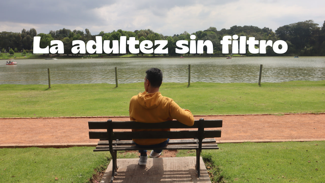 La adultez sin filtro.png