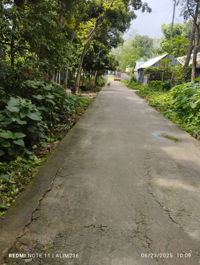 IMG_20250623_100913.jpg