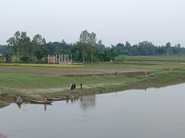 8274.jpg