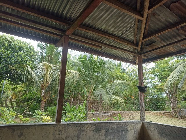 IMG_20250916_090418.jpg