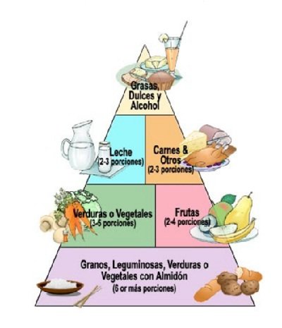 PIRAMIDE ALIMENTARIA .jpg