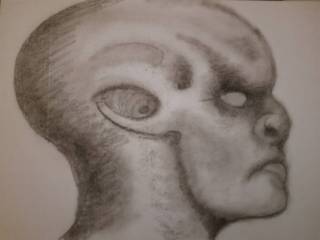 20250628_103837.jpg