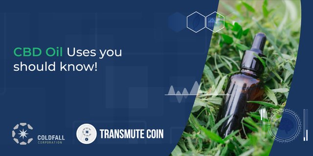 TransmuteCoin-Promo-banner-57.jpg