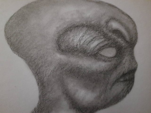20250608_095821.jpg