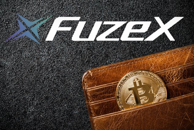 fuzex review.jpg