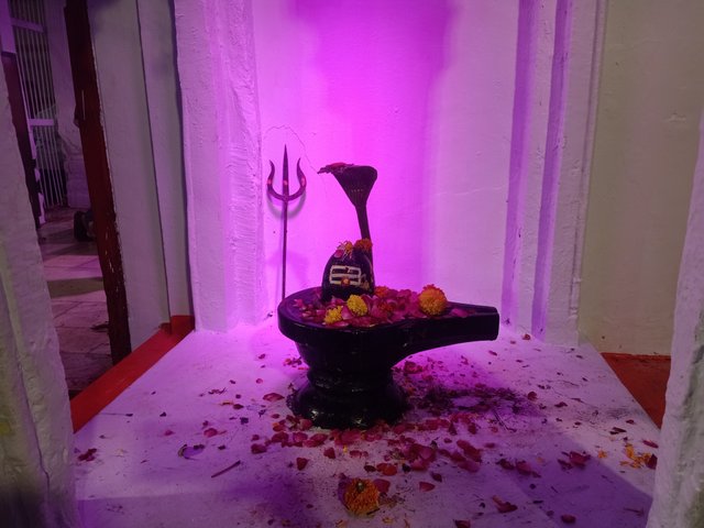 IMG20250925212043.jpg