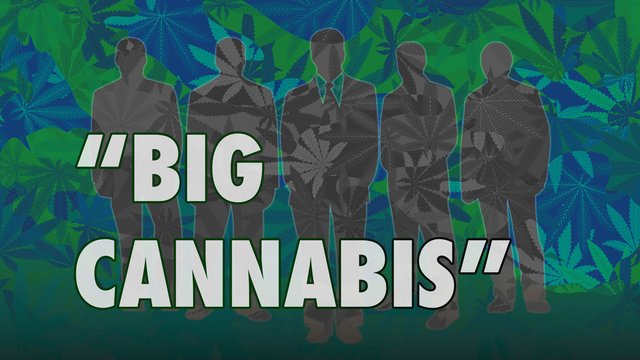 bigcannabigBlueGreen1200x675.jpg