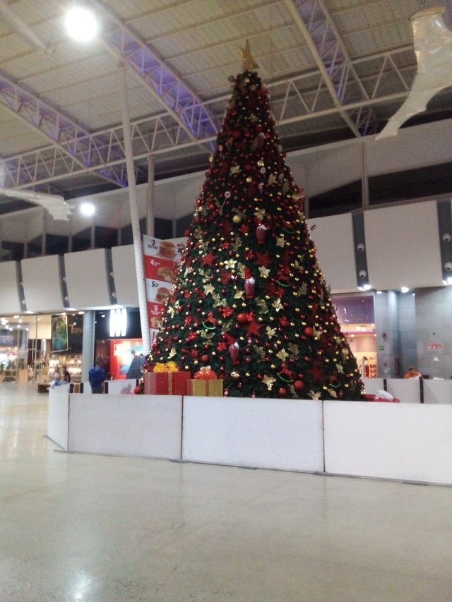 20221102_194125.jpg