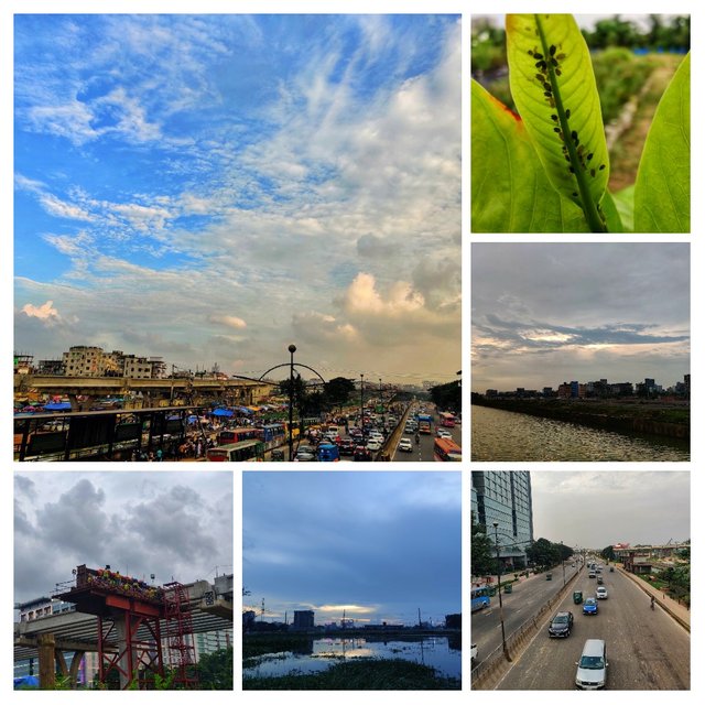 20210903_171752-COLLAGE.jpg