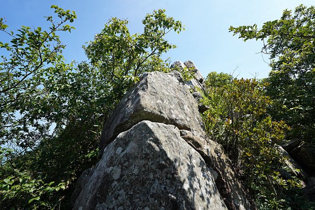 b-DSC08272.JPG