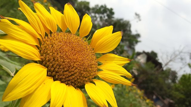 20210310_121253.jpg